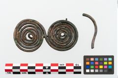 Foto von Bronzebrillenfibel (NHMW-PRAE-003465a)